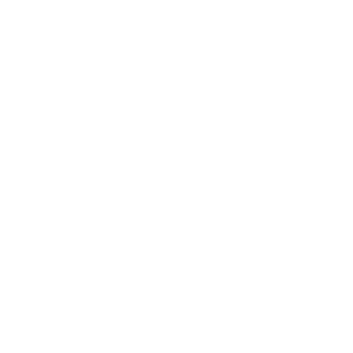 SinWav Logo